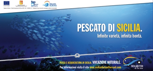 Logo Banner Sicilian Fish