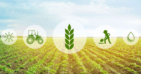 Innovazione e ricerca in agricoltura, pronti 25 milioni per le imprese