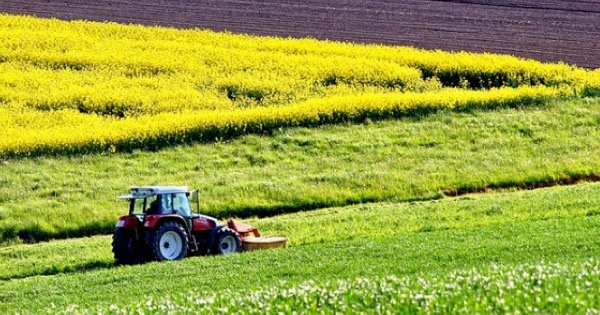 AGRICOLTURA - Bandiera: Coldiretti erra, 45 milioni agli agricoltori