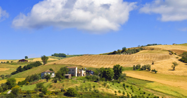 Programma di sviluppo rurale, Sicilia supera il target di spesa dell'Ue