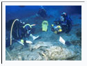 Itinerari archeologici subacquei