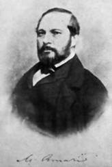 Michele Amari (1806 - 1889)