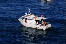 Foto 06 - Imbarcazione Pescaturismo